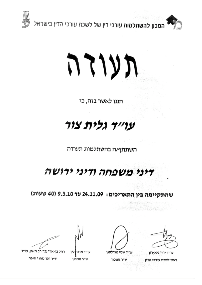 עו_ד גלית צור - השתלמות דיני משפחה ודיני ירושה