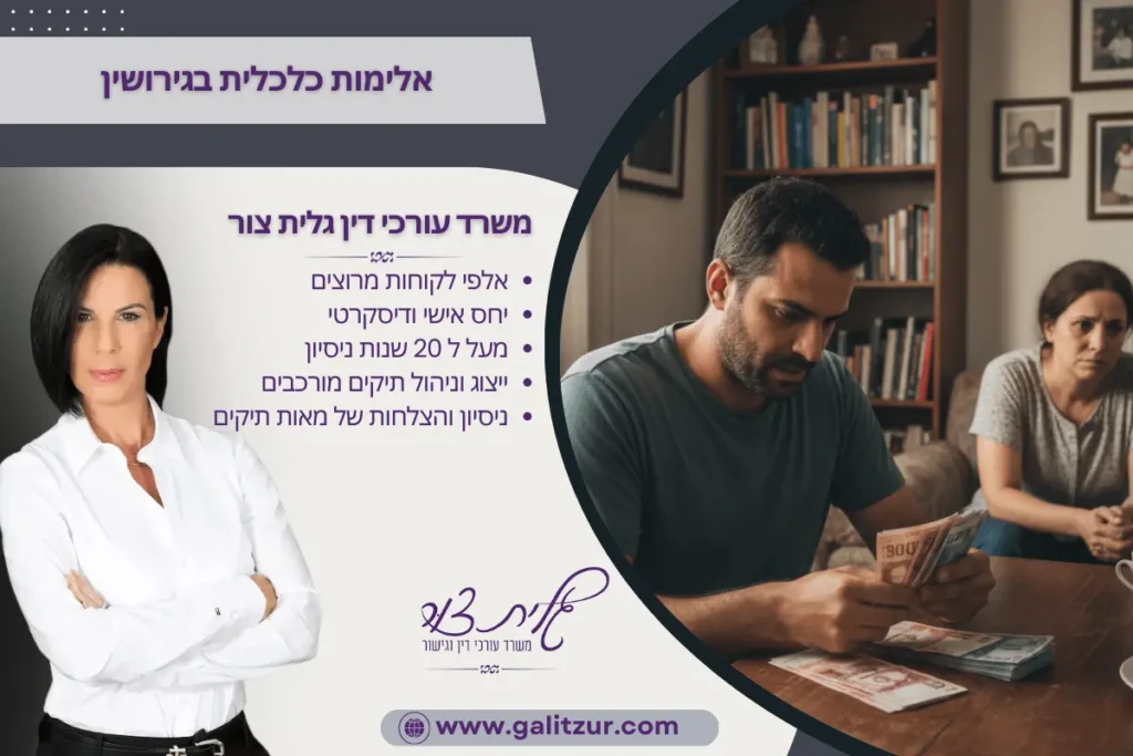 אלימות כלכלית - היבטים משפטיים והשלכות מעשיות